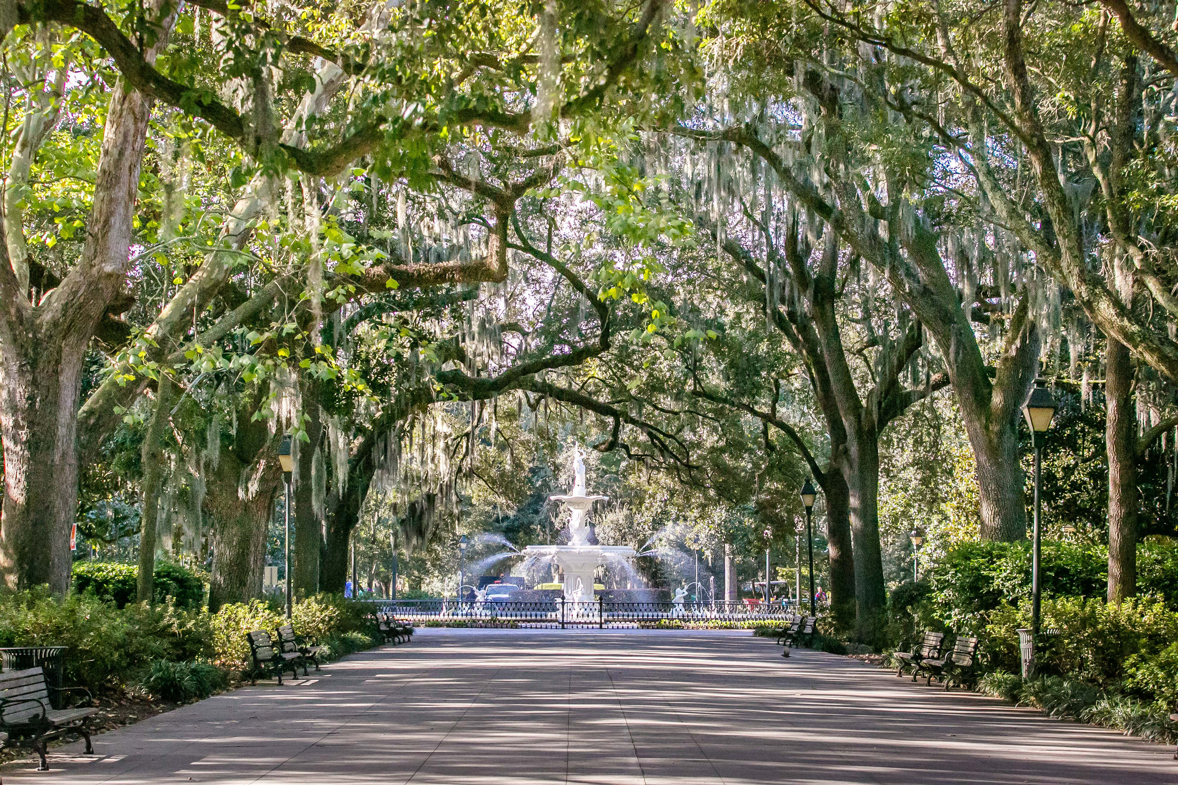 A view of the famous Forsyth Fountain, which is a beautiful, tall white structure in the center of a green square. It is a sunny day, and the view is looking down Bull Street from far away, with all of the trees dripping Spanish moss lining the road.